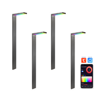 CDPSR58 4x/8x/12x Package Wi-Fi Smart RGBCW 3W Stainless Steel Directional Pathway Light LED 12V Low Voltage Bollard Landscape Lighting - Stainless Steel / 4 Pack