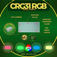 CRG31 4x/8x/12x Package  Low Voltage In Ground RGB or WW LED Brick Paver Light Rectangle IP67 Waterproof Warm White