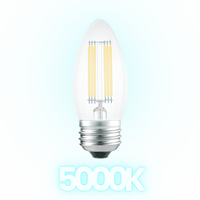 Outdoor Landscape Lighting LED 12V Low Voltage E26 4W LED Filament Edison Bulbs Dimmable Energy Saving 12V Low Voltage Light Bulb Cool White 5000K