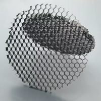 Outdoor Landscape Lighting LED 12V Low Voltage HC1 MR16 Honeycomb Louvred Anti- Glare Filter 50mm for Spot Lights