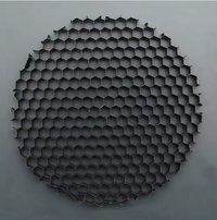 Outdoor Landscape Lighting LED 12V Low Voltage HC1 MR16 Honeycomb Louvred Anti- Glare Filter 50mm for Spot Lights