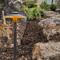 Outdoor Landscape Lighting LED 12V Low Voltage BPLP11 Stelvio SH BAB Brass Path Light Low Voltage Outdoor Lighting