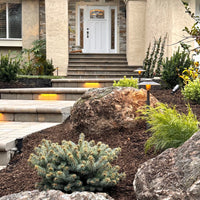 Outdoor Landscape Lighting LED 12V Low Voltage BPLP11 Stelvio SH BAB Brass Path Light Low Voltage Outdoor Lighting