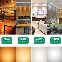 CE y RoHS ligeros impermeables ahorros de energía de Dimmable de los bulbos LED de MR16 5W certificados