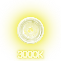 Outdoor Landscape Lighting LED 12V Low Voltage MR11 2.5W 12V Low Voltage AC/DC LED 38° Beam Outdoor Landscape Light Bulbs Energy Saving IP65 Waterproof 3000K Warm White