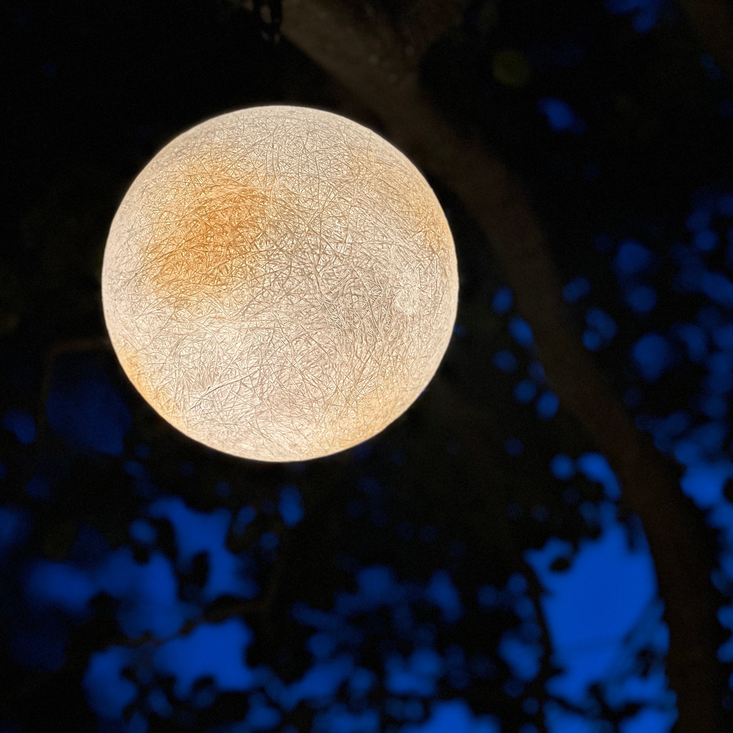 GL Series Moon Light Fixture 12V Low Voltage Outdoor IP65 Waterproof H ...
