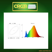 CRG31 4x/8x/12x Package  Low Voltage In Ground RGB or WW LED Brick Paver Light Rectangle IP67 Waterproof Warm White