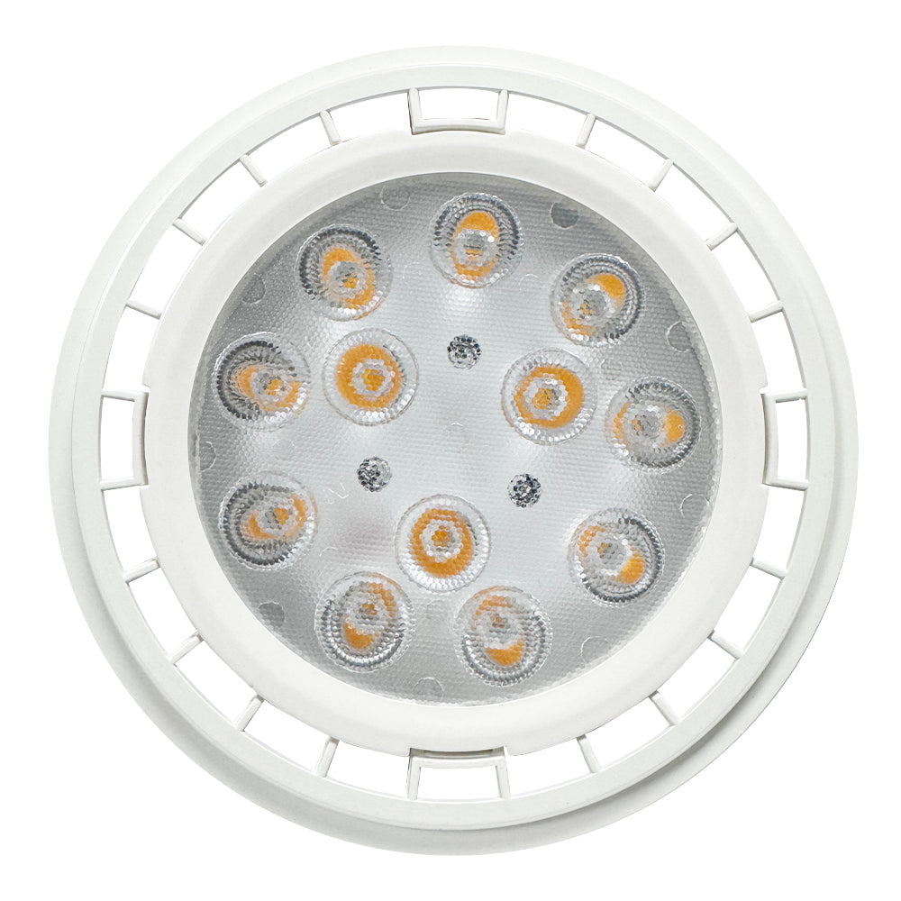 PAR36 12W 30 ° Paisaje exterior Bombillas LED Blanco cálido Lámpara de inundación impermeable