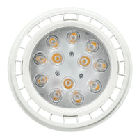 PAR36 12W 30 ° Paisaje exterior Bombillas LED Blanco cálido Lámpara de inundación impermeable