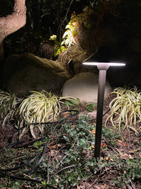 PLB02 Clear Lens Outdoor Garden Pathway Light | 12V Low Voltage Brass Path Light
