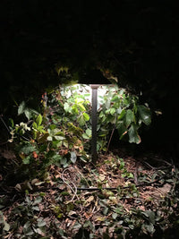 PLB02 Clear Lens Outdoor Garden Pathway Light | 12V Low Voltage Brass Path Light