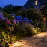 PLB18 Brass LED Mini Globe Lamp Ready 12V Low Voltage Pathway Outdoor Landscape Lighting Fixture G4 Socket