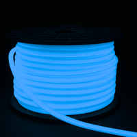 SLN11 Dotless Neon LED Strip Light 360° 120V IP67 Outdoor Rated Dimmable High Voltage Slim 16x16mm Silicone Strip Light with Holder, IR Remote, and Adapter with Power Supply