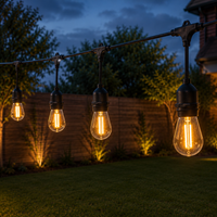 Outdoor Landscape Lighting LED 12V Low Voltage SL101 3000K Warm White LED Low Voltage Bistro String Lights 48 FT Outdoor Weatherproof 12V Edison Bulbs