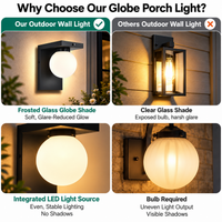 Outdoor Landscape Lighting LED 12V Low Voltage SCH23PC 12W 1100LM 3000K Dusk-to-Dawn Frosted Glass Globe Wall Sconce Light 120V