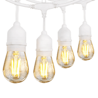 La secuencia de bistró de bajo voltaje SL101 LED enciende bombillas Edison de 12 V resistentes a la intemperie para exteriores de 48 pies