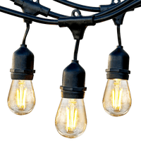 SL101 LED Low Voltage Bistro String Lights 48 FT Outdoor Weatherproof 12V Edison Bulbs