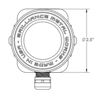 Brilliance Adjustable AquaBeam Brass Low Voltage Directional LED Underwater Pond Light IP68 Waterproof