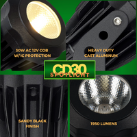 CD30 30W 12V Low Voltage LED Outdoor Aluminum Spotlight Directional Narrow Beam Angle