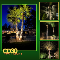 CD30 30W 12V Low Voltage LED Outdoor Aluminum Spotlight Directional Narrow Beam Angle