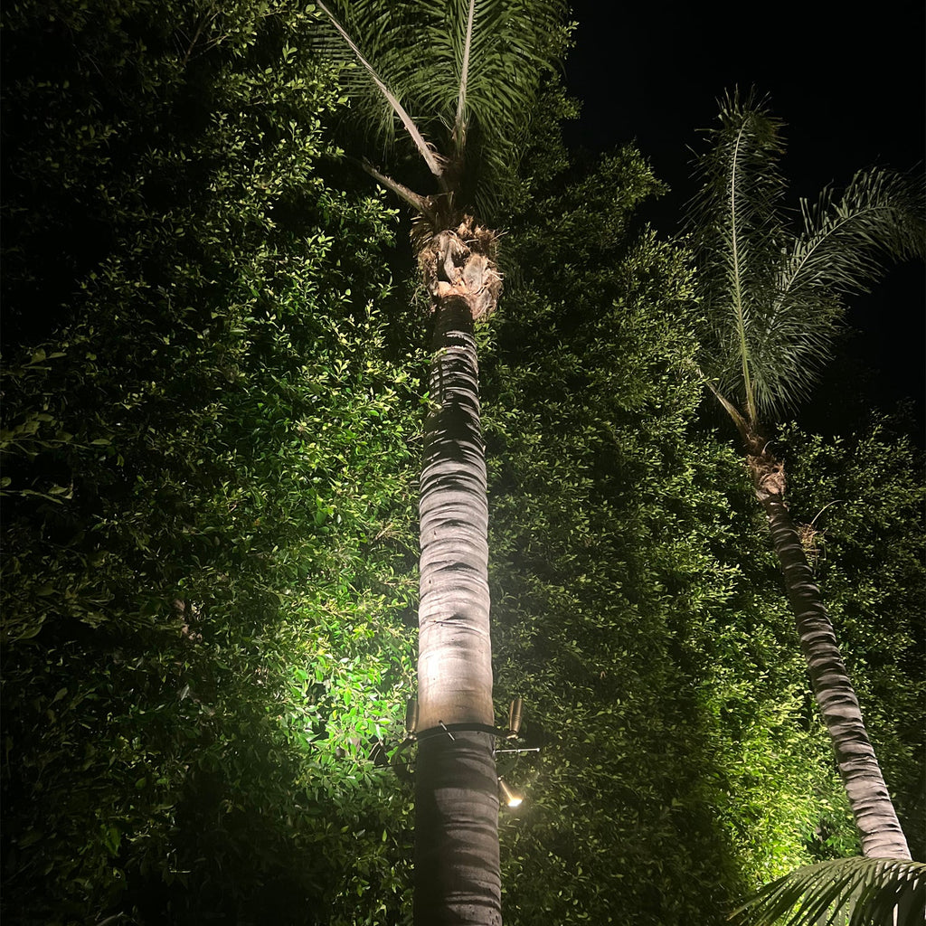 TRA01 Palm Tree Mounting Ring Light Bracket Outdoor Lighting Accessory ...