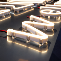 Outdoor Landscape Lighting LED 12V Low Voltage SLN05 Dotless Neon LED Strip Light 12mm (H) x 6mm (W) 3000K/6000K DC24V IP65 Outdoor Rated Dimmable Low Voltage Silicone Strip Light with Mounting Clip, Screws, End Cap and Power Adapter
