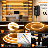 Outdoor Landscape Lighting LED 12V Low Voltage SLN05 Dotless Neon LED Strip Light 12mm (H) x 6mm (W) 3000K/6000K DC24V IP65 Outdoor Rated Dimmable Low Voltage Silicone Strip Light with Mounting Clip, Screws, End Cap and Power Adapter