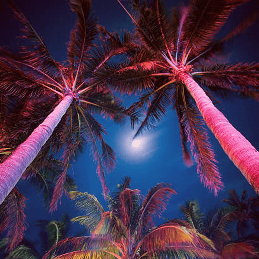 CDR12 12W Smart WIFI RGBW Narrow Beam Directional Landscape Garden Spotlight.