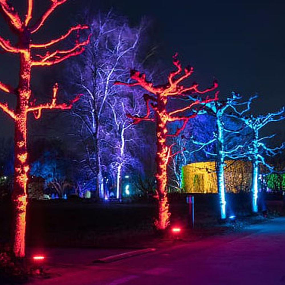 CDR12 12W Smart WIFI RGBW Narrow Beam Directional Landscape Garden Spotlight.