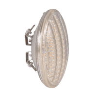 PAR36 10W LED Low Voltage Bulbs Waterproof Landscape Floodlight - Kings Outdoor Lighting