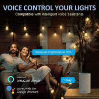 SL102 LED Dimmable Smart Bistro String Lights Outdoor Weatherproof 12V Edison Bulbs