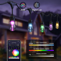 SLR100 LED RGBW Smart Bistro String Lights Color Changing Outdoor Weatherproof 12V Edison Bulbs