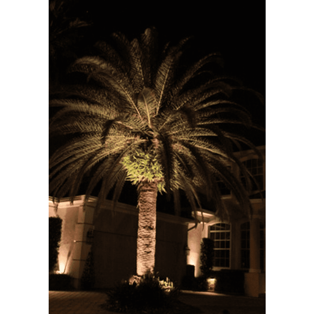 CD20 20W Low Voltage Ground LED Spotlight Waterproof Outdoor Fixture.